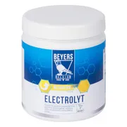 Beyers Elektrolyt 500 gr