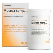 Heel Mucosa Compositum H Tabletten 250st 250TB