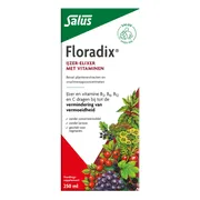 Salus Floradix Vloeibaar IJzer Elixer 250ML