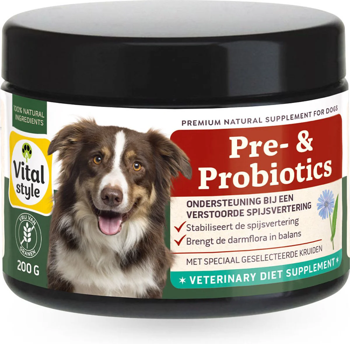 Vitalstyle Hond Pre & Probiotics 200 gr