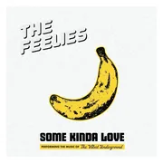 The Feelies - Some Kinda Love (Performing The Music Of The Velvet Underground) (CD)