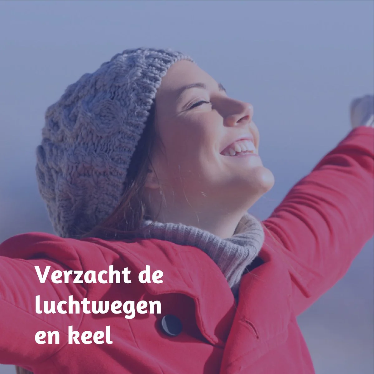 Dampo Luchtwegen Pastilles Gembersmaak 24ST
