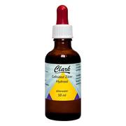 Clark Colloïdaal Zilver Hydrosol Zilverwater 50ML