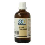 GO Gemmo Oplossingen Betula Pubescens Bio Tinctuur 100ML