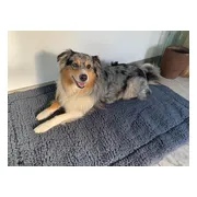 HuggleHounds Hondenmat Grijs XL 75 x 123 cm