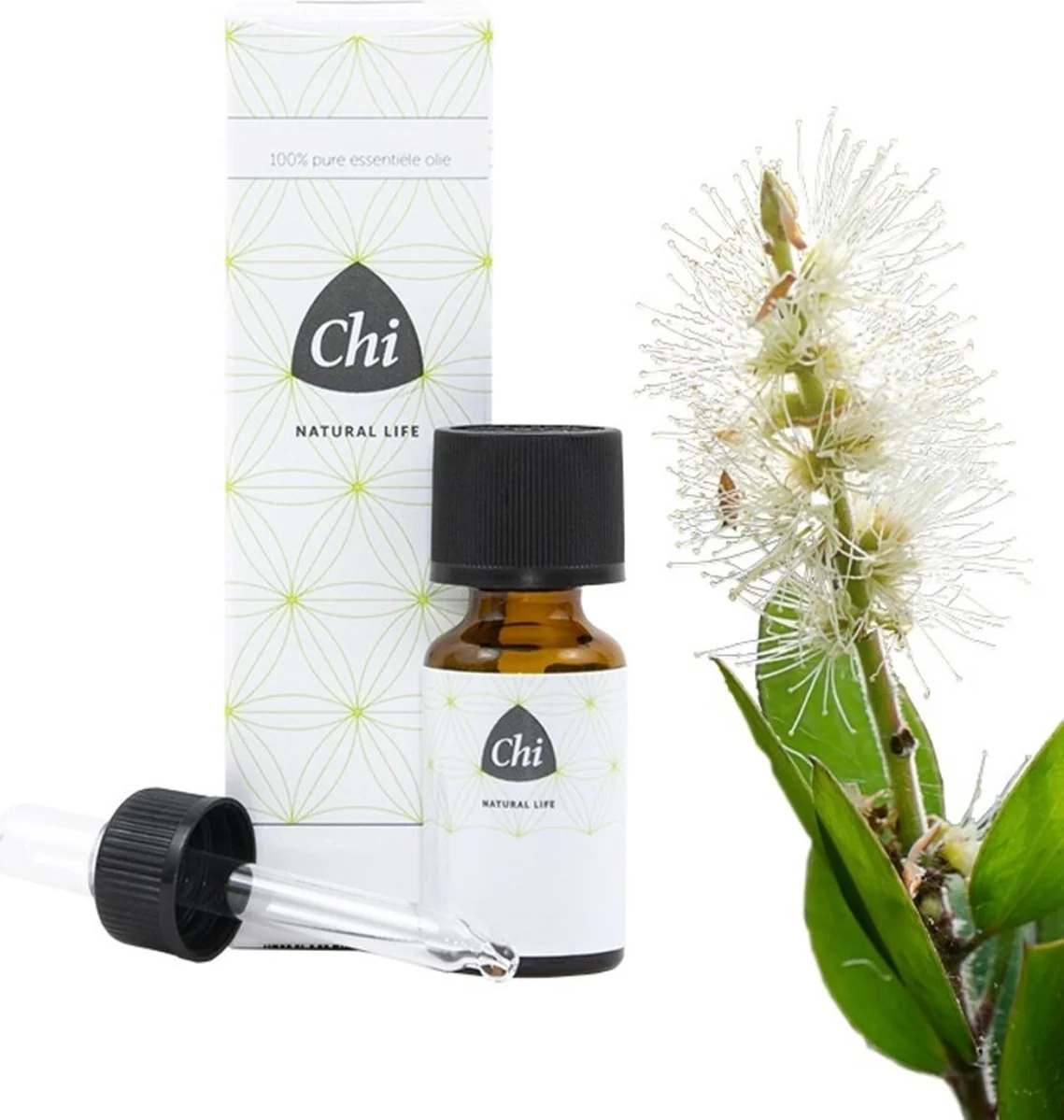 Chi Natural Life Kajeput Etherische Olie Wild 10ML
