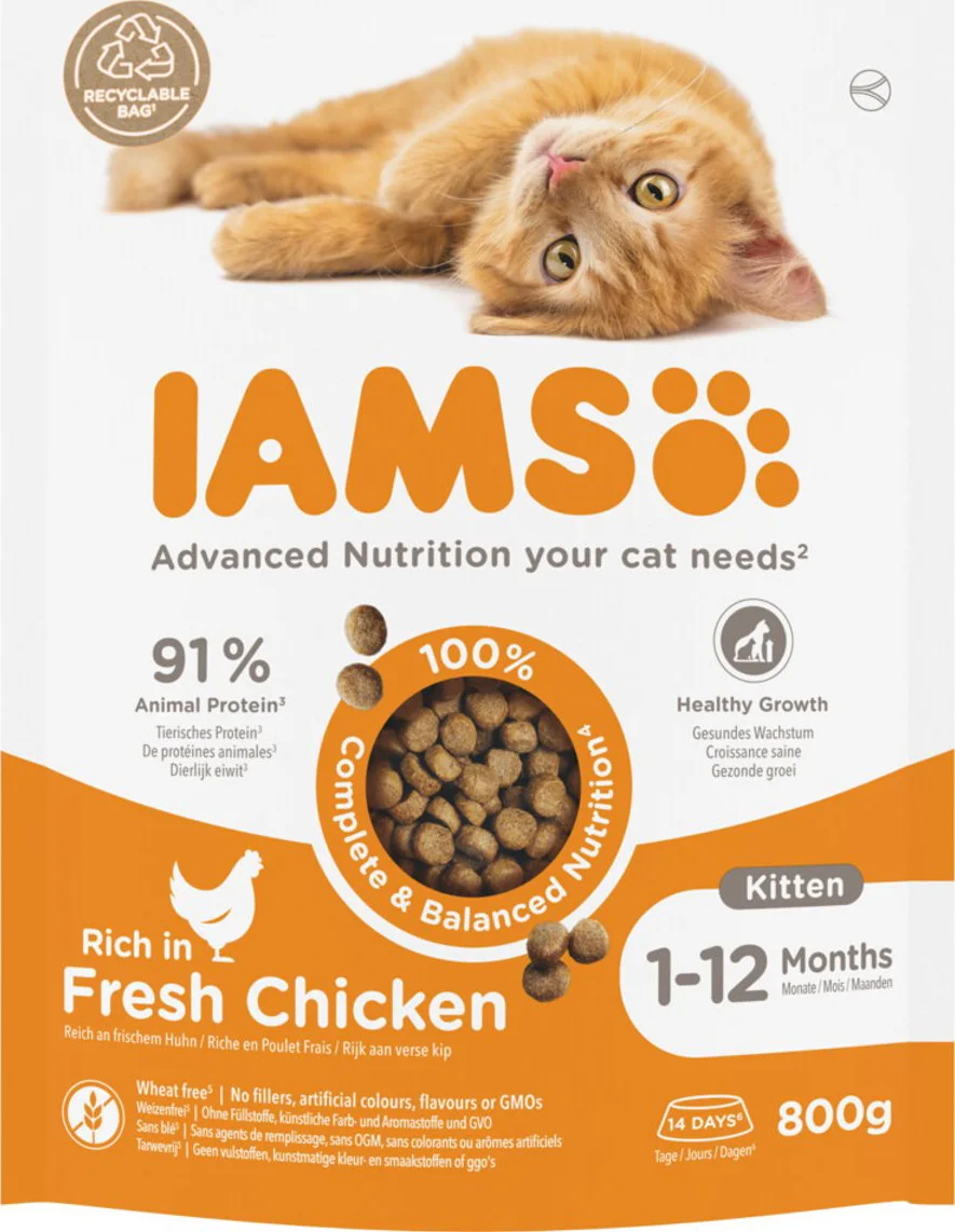 5x IAMS Kat Kitten/Junior Kip 800 gr