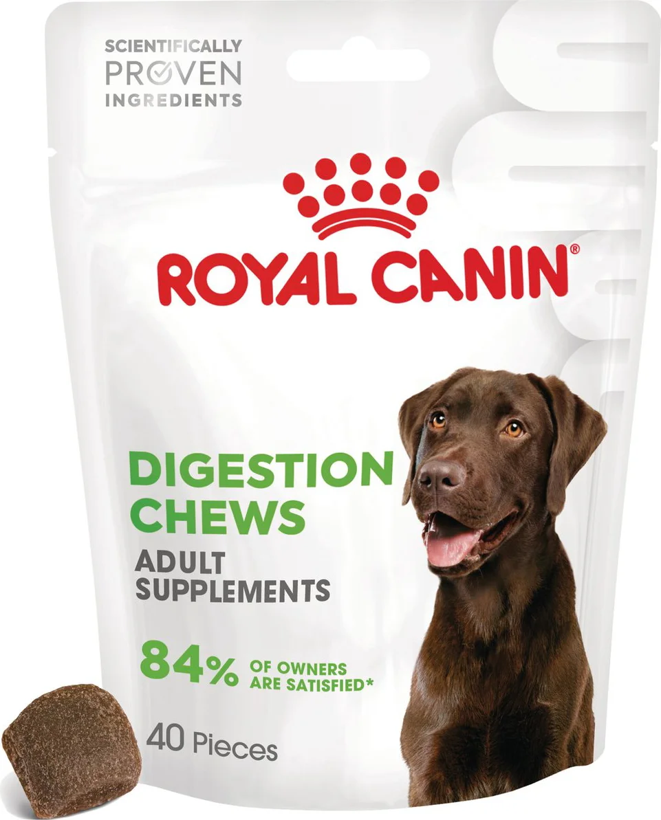 Royal Canin Supplement Digestion 160 gr