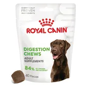 Royal Canin Supplement Digestion 160 gr