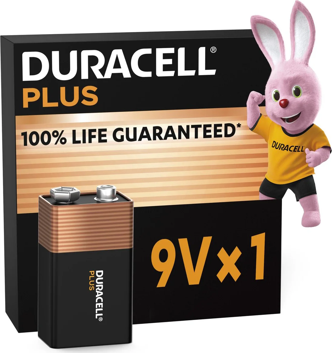 Duracell Alkaline Batterijen Plus 100 9V