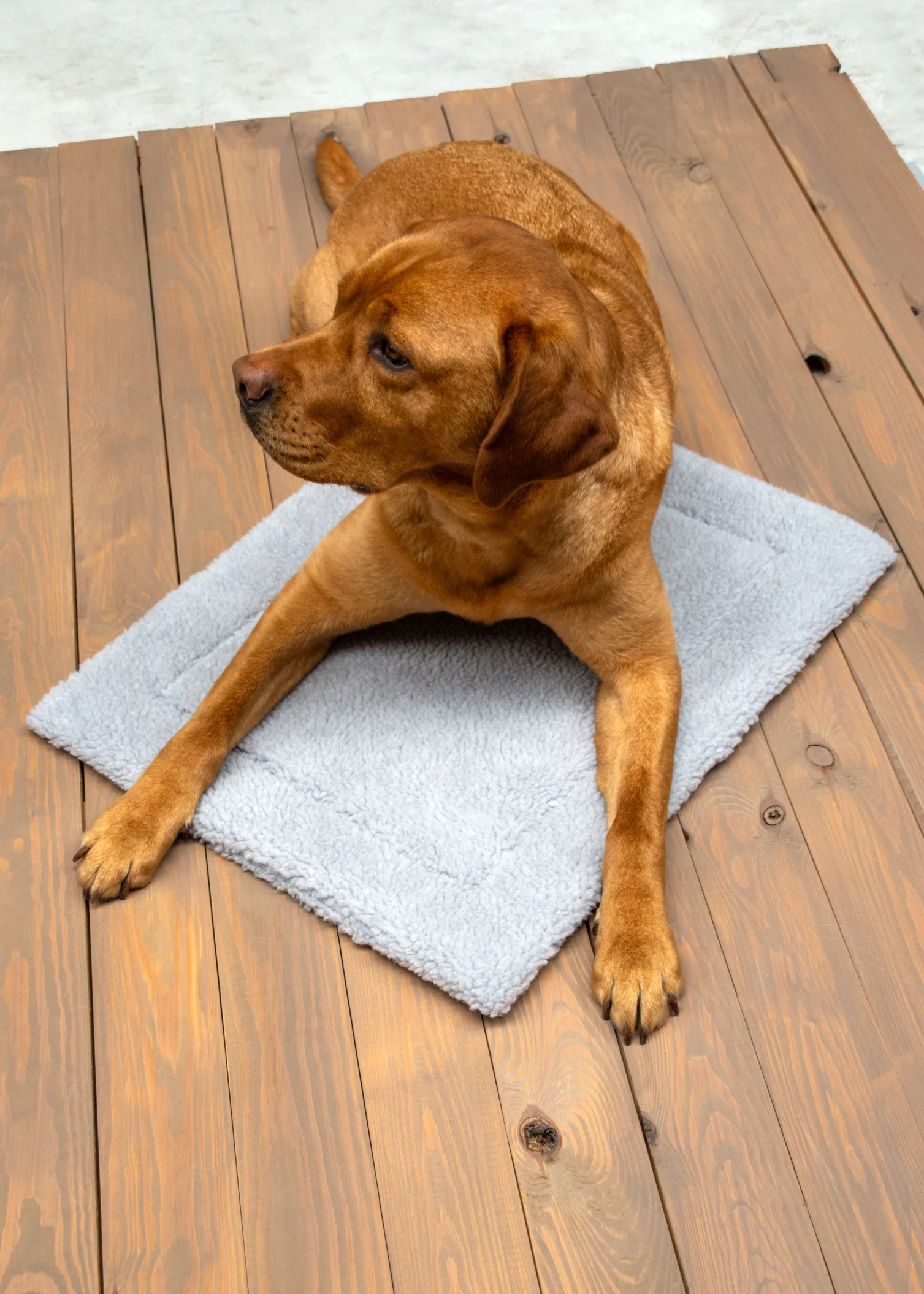 KARLIE Zelfverwarmende honden- of kattenmat (Lichtgrijs)