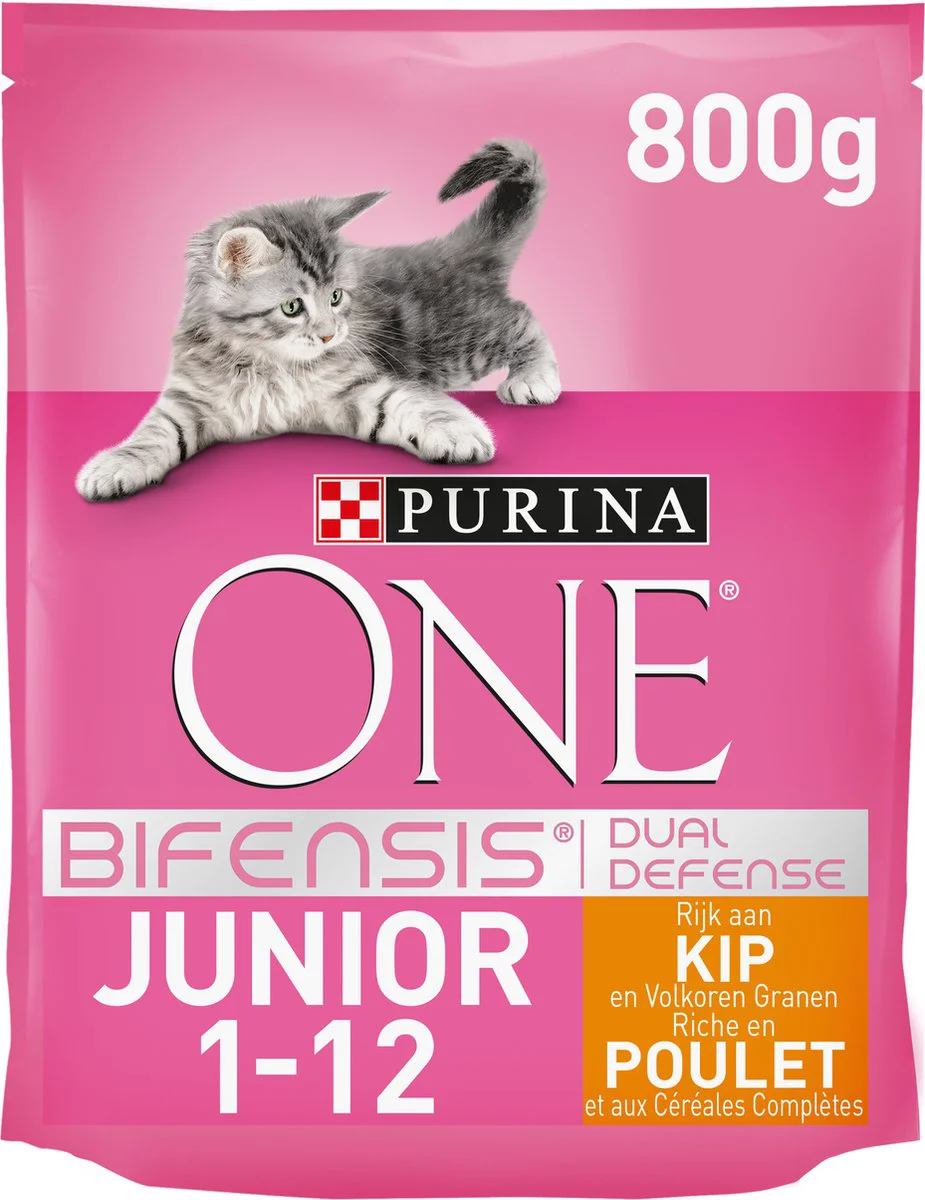 Purina ONE Kattenvoer Droog Junior Kip 800 gr