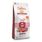 Calibra Life Starter & Puppy Hondenvoer Rund 2,5 kg
