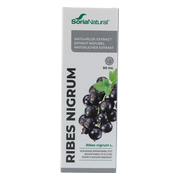 Soria Natural Ribes Nigrum XXI Extract 50ML