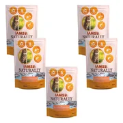 5x IAMS Naturally Kat Adult North Atlantic Zalm & Rijst 700 gr