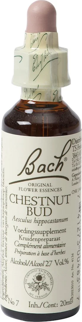 Bach Flower Remedies Kastanjeknop 07 20ML