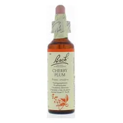 Bach Flower Remedies Kerspruim 06 20ML