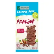 Damhert Lactose Free Chocoladetablet Praline 100GR