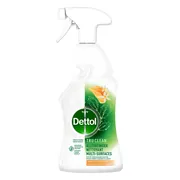 Dettol Allesreiniger Spray Mandarijn & Citroenbloesem 500ML
