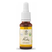 Lemon Pharma Bach NO.15 Holly 20ML