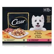 4x Cesar Maaltijdzakjes 12-pack in Gelei 12 x 100 gr