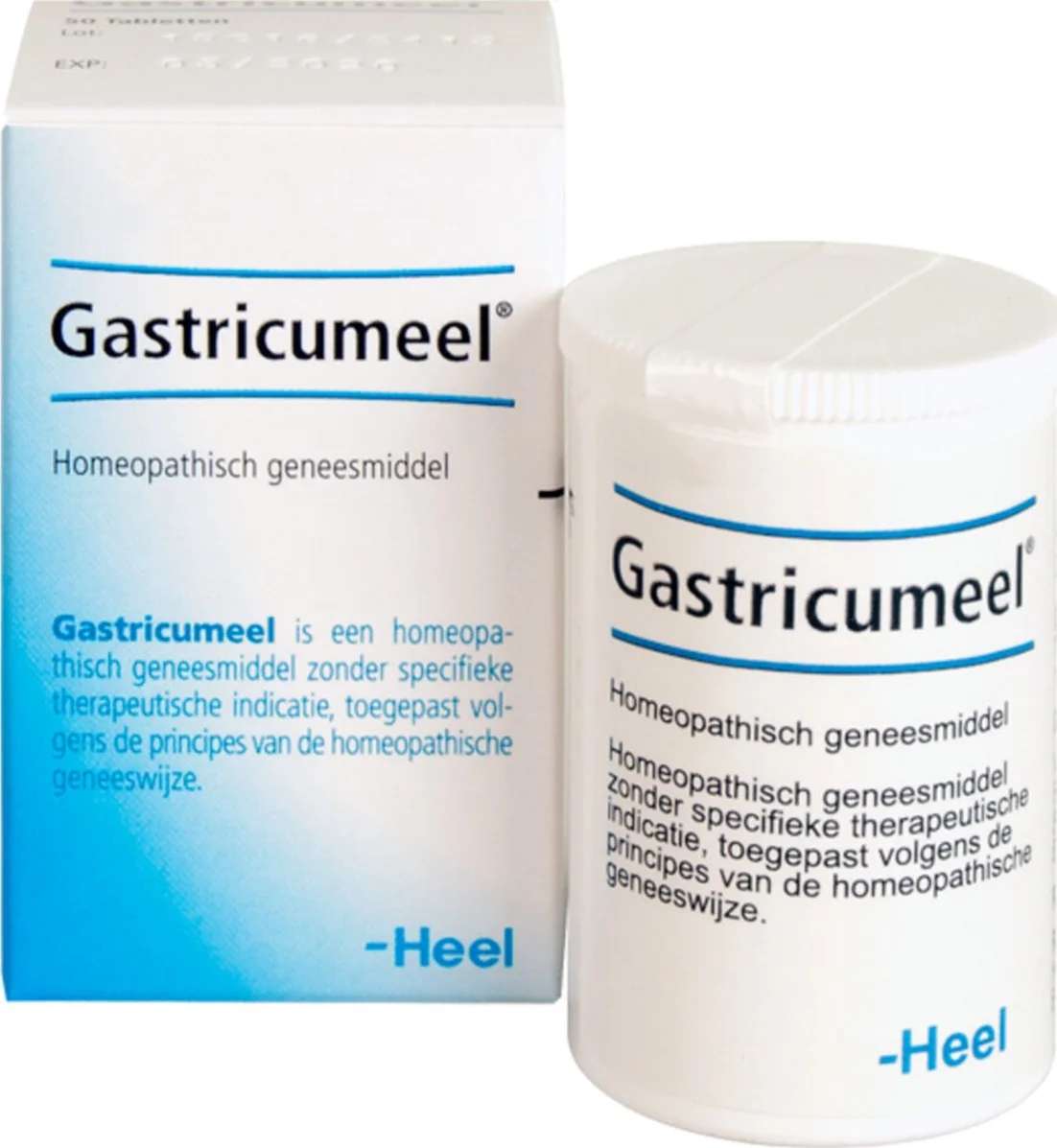 Heel Gastricumeel Tabletten 250st 250TB