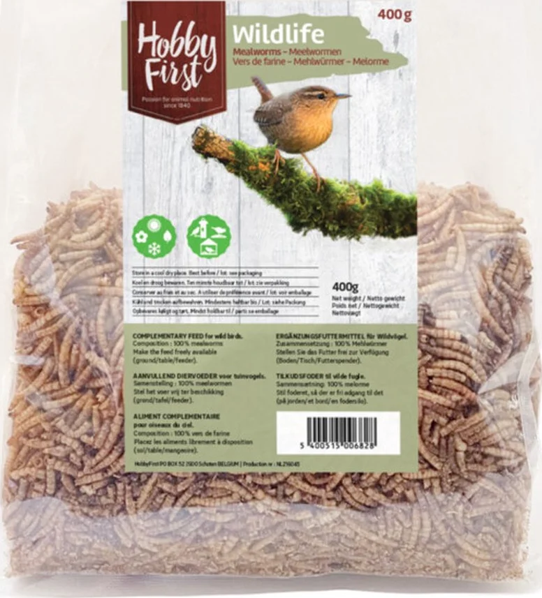 HobbyFirst Wildlife Meelwormen 400 gr