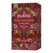 Pukka Winter Warmer Thee 20ZK