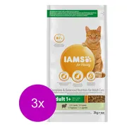 3x IAMS Kat Adult Lam 3 kg
