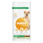 IAMS Dog Adult Large Lam 3 kg