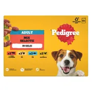 Pedigree Adult in Gelei Mix Selectie Maaltijdzakjes Multipack 12x100 gr