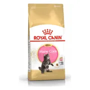 Royal Canin Kattenvoer Droog Maine Coon Kitten 10 kg