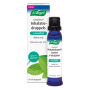 A.Vogel Cinuforce Inhalatiedruppels + Menthol 10ML
