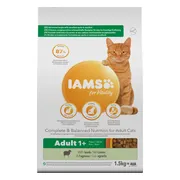 4x IAMS Kat Adult Lam 1,5 kg