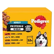 Pedigree Adult in Gelei Protein+ Maaltijdzakjes Multipack 12x85 gr