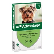 2x Advantage Anti Vlooiendruppels 40 Hond 1,5 - 4 kg 4 pipetten