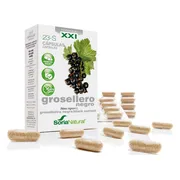 Soria Ribes Nigrum XXI Capsules 30CP