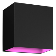 Philips Hue Resonate Downward White and Color - zwart