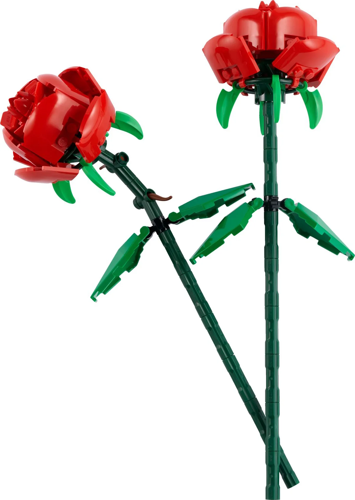 LEGO Botanicals Rozen 40460
