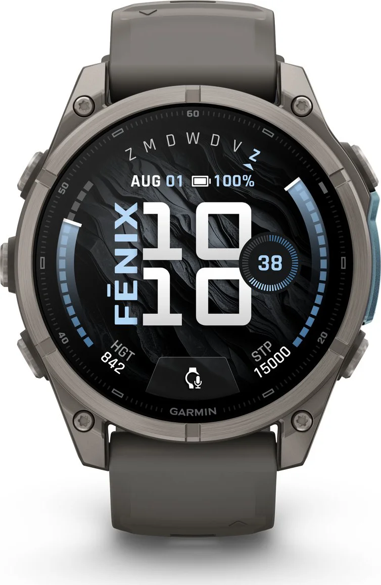 Garmin Fenix 9 Grijs 47mm