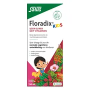 Salus Floradix Kids IJzer Elixer 250ML