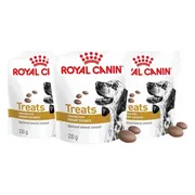 3x Royal Canin Hondensnack Urinary S/O Treats 230 gr