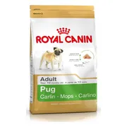 Royal canin Pug Adult