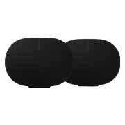 Sonos Era 300 Zwart Duopack