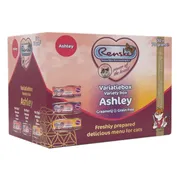 Renske Vers Variatiebox Kattenvoer Nat Ashley 30 x 70 gr