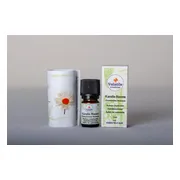Volatile Kamille Rooms (Anthemis Nobilis) 1ml