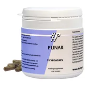 Holisan Punar Capsules 95st 95CP