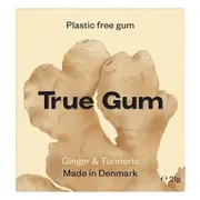 True Gum Ginger & Turmeric 21GR
