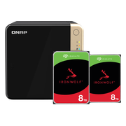 QNAP TS-464-8G + Seagate Ironwolf 16TB (2x8TB)