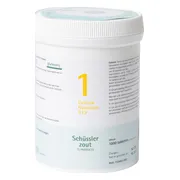 Pfluger Celzout 01 Calcium Fluoratum D12 Tabletten 1000TB